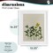 Stupell Industries Hidden Gems Botanicals Framed Print Under Glass, design by Grace Popp